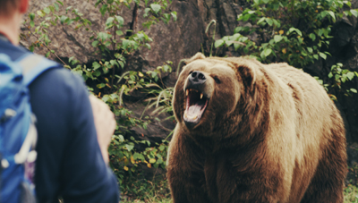 A person with a blue backpack stands facing a large brown bear that has its mouth wide open.