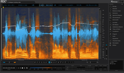 Digital audio workstation interface displaying a blue waveform over an orange spectrogram with a white leveling line.