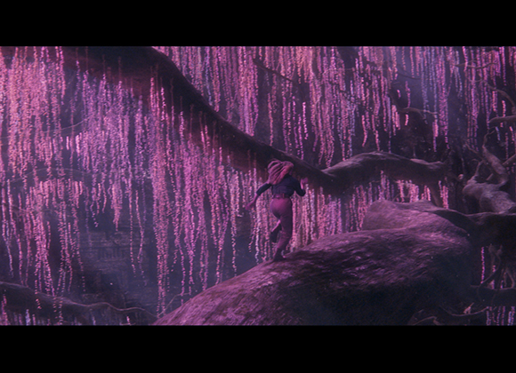 A person walks along a thick tree branch amidst cascading purple glowing vines in a dark forest.