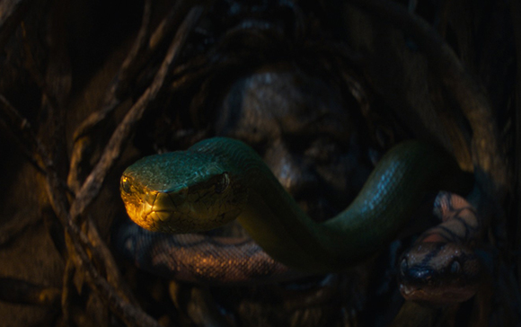 A green snake moves across a dark, shadowed face framed by tangled wooden branches.