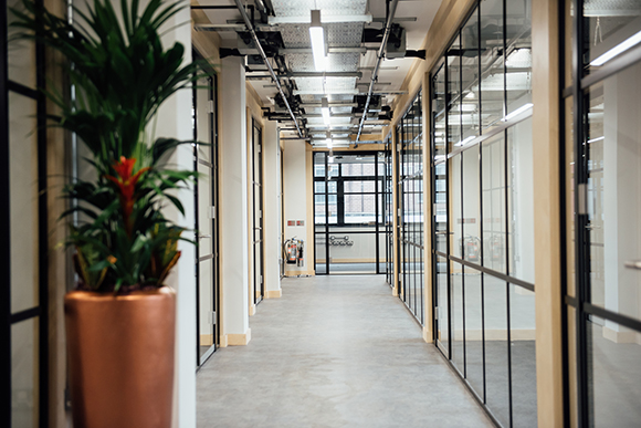 A perspective view of a bright office hallway lined with black-framed glass partitions and white pillars.