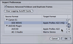 Import Preferences window showing source and target format settings for video files.