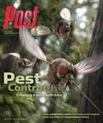 Two flies in flight, one with a proboscis extended as if biting, against a blurred green background.
