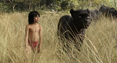 A young boy in red shorts and a large black panther walk through a field of tall, dry grass.