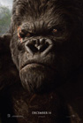 Close-up portrait of a large gorilla with a serious expression and a small wound near its eye.
