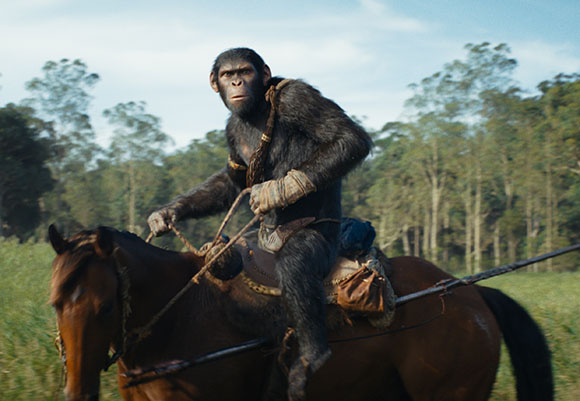 A chimpanzee sits upright on a brown horse, holding reins while riding through a grassy field.