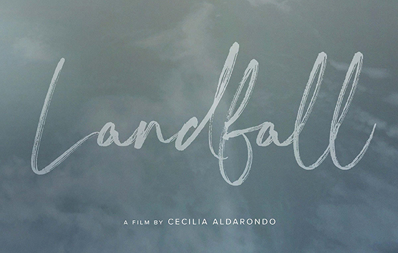 The word Landfall in white cursive script over a cloudy gray sky background.