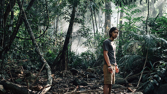 A man in a grey t-shirt and tan shorts stands amidst thick tropical foliage and trees.
