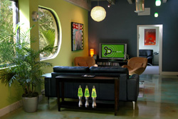 A modern living room with a black sofa, tan armchairs, a large green plant, and a television.