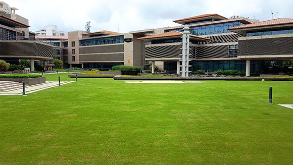Modern multi-story office buildings with glass facades surrounding a large, manicured green lawn.