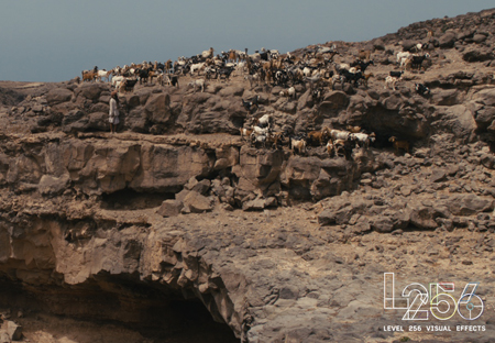 A person walks along a rocky ridge followed by a large herd of goats in a desert environment.