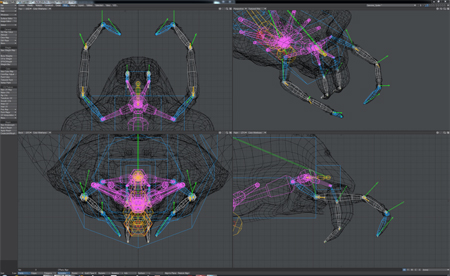 Four digital viewports showing a wireframe 3D model of a creature with a complex skeletal rig.