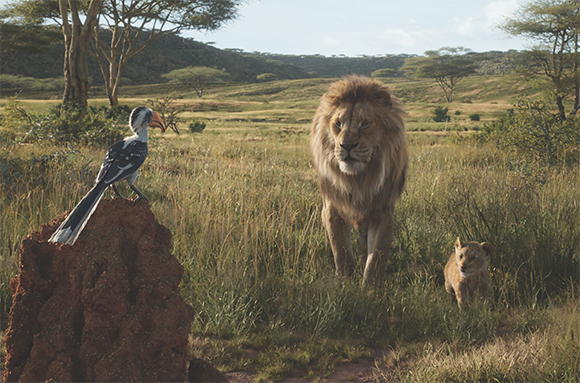 A male lion walks through tall grass toward a hornbill perched on a mound, with a cub nearby.