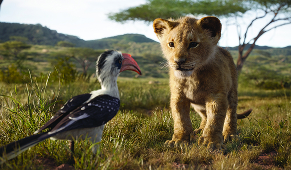 A young lion cub looks toward a hornbill bird standing in a grassy savanna landscape.