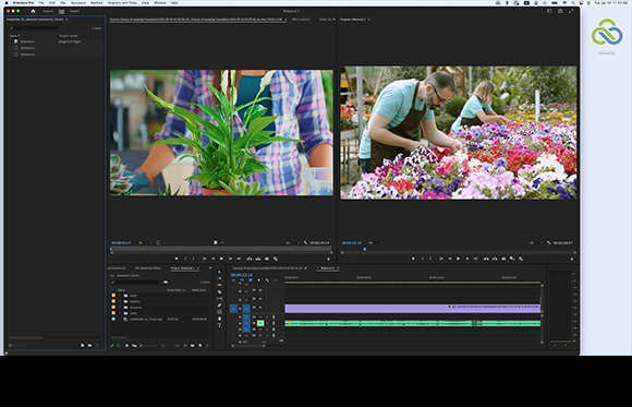 Video editing software interface showing two clips of plants and a multi-track timeline at the bottom.