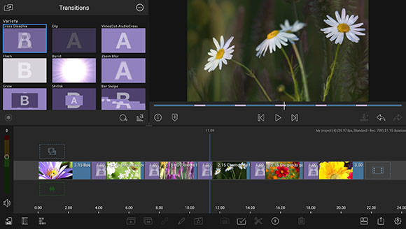 Video editing software interface displaying a transition selection menu and a timeline of flower video clips.