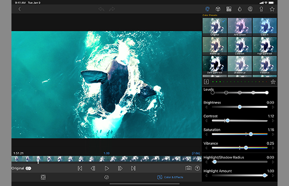 Video editing software interface displaying a top-down view of a whale in bright turquoise water.