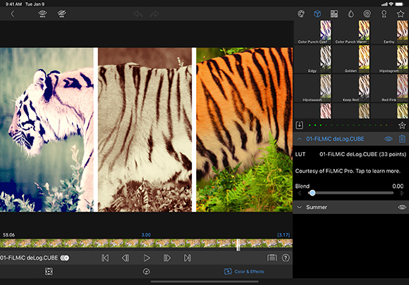 A video editing screen displaying three side-by-side color variations of a tiger image.