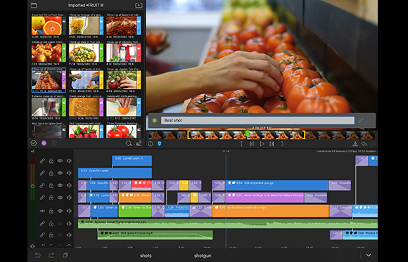 Video editing software interface showing a media library of fruit clips and a multi-track timeline.
