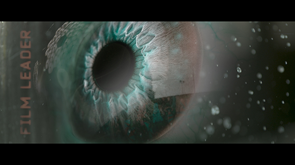 Extreme close-up of a detailed blue iris and pupil with the text FILM LEADER on the left.