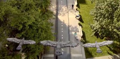Three large birds fly in formation over a tree-lined street and pedestrian walkway.