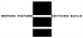 Black rectangular blocks arranged vertically with the text Motion Picture Editors Guild horizontally across them.