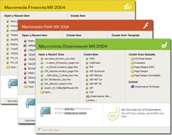 Overlapping windows for Macromedia Fireworks MX 2004, Flash MX 2004, and Dreamweaver MX 2004.