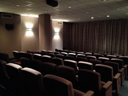 Rows of dark, upholstered theater seats facing a large curtain in a dimly lit room.