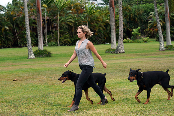 A woman in a grey sleeveless top and black pants walks two black and tan Doberman Pinschers on a lawn.