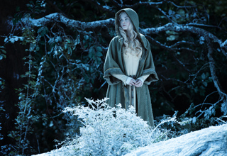 A woman with long blonde hair wearing a green hooded cloak stands in a dark, wintry forest.