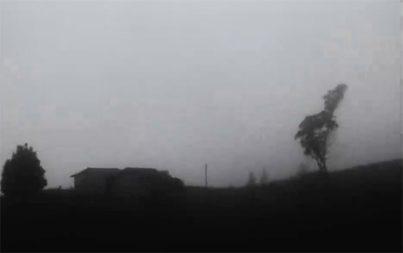 Silhouetted house and trees against a thick, gray fog.