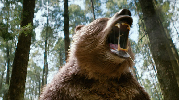 A close-up of a brown bear with its mouth wide open, roaring in a forest.