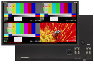 Two Marshall monitors showing color test patterns and a macro shot of a ladybug on a red flower.