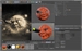 Interface of 3D modeling software displaying a textured orange character face in multiple viewports.