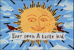 Illustration of a smiling yellow sun with rays, two red birds, and text 'Ever seen A taste bud' on a blue sky background.