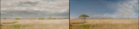 Two landscape views showing dry grass fields under expansive, cloudy skies.