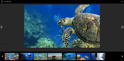 A large sea turtle swims through blue ocean water near a coral reef with a scuba diver in the distance.