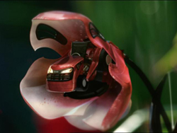 A small red toy car tucked inside the petals of a blooming red flower.