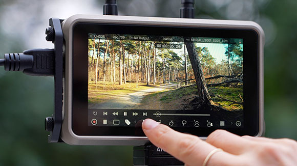 A person's finger touches the screen of a professional video monitor showing a sunny forest path.