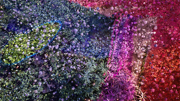 An abstract composition of dense, multicolored flowers in shades of blue, purple, pink, and red.
