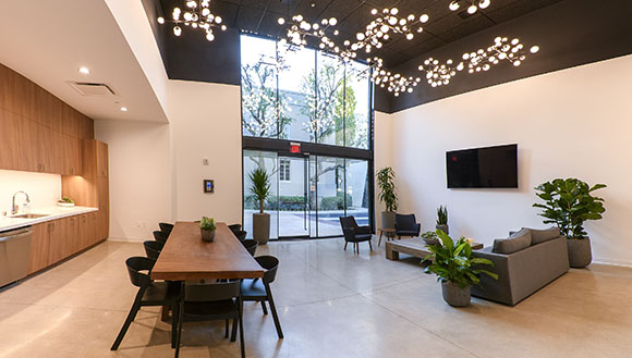 Modern lounge area with a large wooden dining table, chairs, a kitchen counter with sink, a sofa, chairs, and plants.