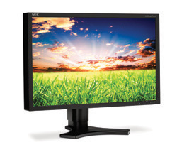 A black NEC computer monitor displaying a sunset over a green grassy field.