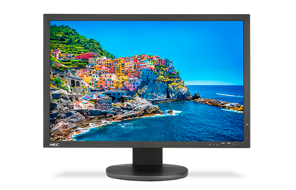 NEC computer monitor displaying a colorful coastal village on a rocky cliff overlooking blue water.