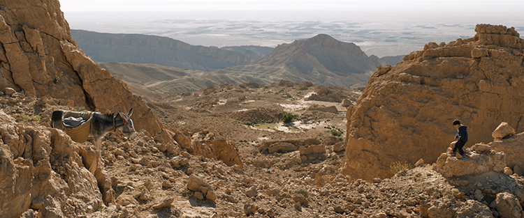 A donkey stands on a rocky slope overlooking a vast, mountainous desert valley under a bright sky.