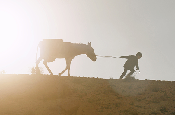 Silhouette of a child leading a donkey by a rope across a hilly landscape against a bright sun.