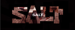Stylized block letters spelling 'SALT' containing a scene of people in military attire.