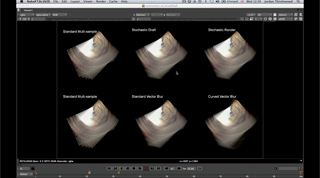 Software interface showing six different rendering styles of a curved 3D object on a black background.