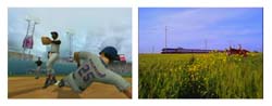 A baseball pitcher throwing a ball and a wide field of yellow wildflowers under a blue sky.