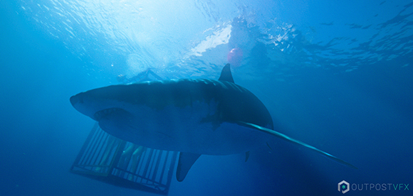 A large shark swims through deep blue water near a metal cage and a person's silhouette.