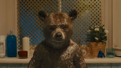 A close-up shot of a brown bear with wet fur looking forward in front of a window.